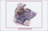 5 Pack of Headwaters Fine Art Cards 5.5" x 8.5" with envelopes - Forevermore